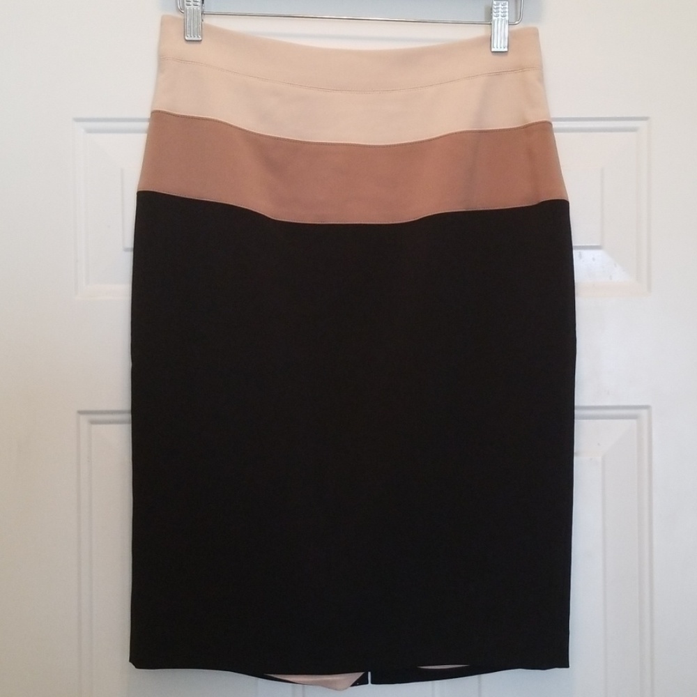 Ann Taylor Business Skirt
